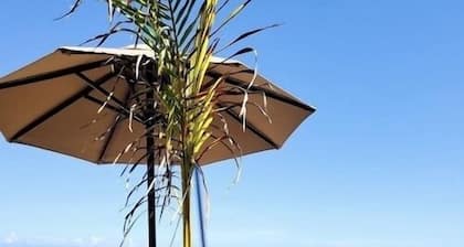 Beautiful Villas in Puerto Plata with beaches nearby