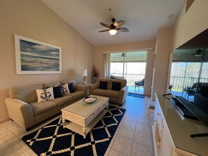 Smart TV, DVD player, books, video library