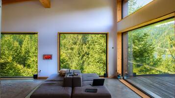 Televisio, takka, stereot