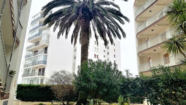 A multi-story residential building with balconies, a palm tree, and various shrubs. - 3354 - LA SOLANA 3-28 VERY GOOD SITUATION, 2ND LINE OF THE BEACH (80m) IN THE URBANIZATION OF SANTA MARGARITA. (Roses)
