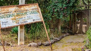 A weathered sign for the National Botanic Garden in The Gambia, established in 1952, with an entrance fee of D500.00. - Seaview - Sleeps 3 - Access to Beach - Bakau (Bakau)