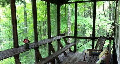 Secluded Cabin Nestled In The Trees Overlooking Fishing & Canoe Pond