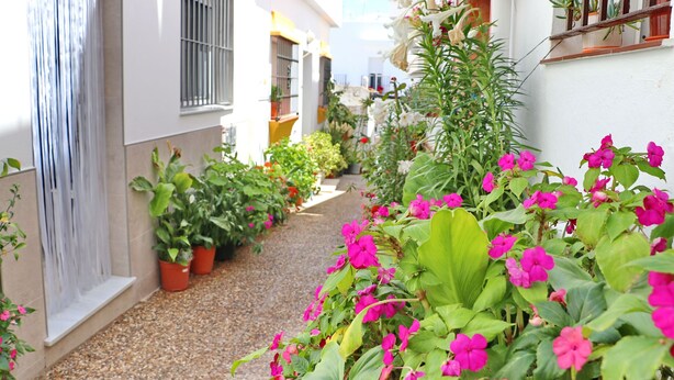 A narrow alley with potted plants and flowers, white buildings, and a small water feature. - Nardo studio in the center of Conil (Conil de la Frontera)