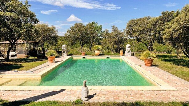 Uma piscina retangular com água cristalina, rodeada por um deck de pedra e plantas em vasos.