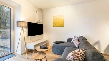 Fernseher