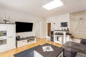 Télévision, cheminée, chaîne hi-fi