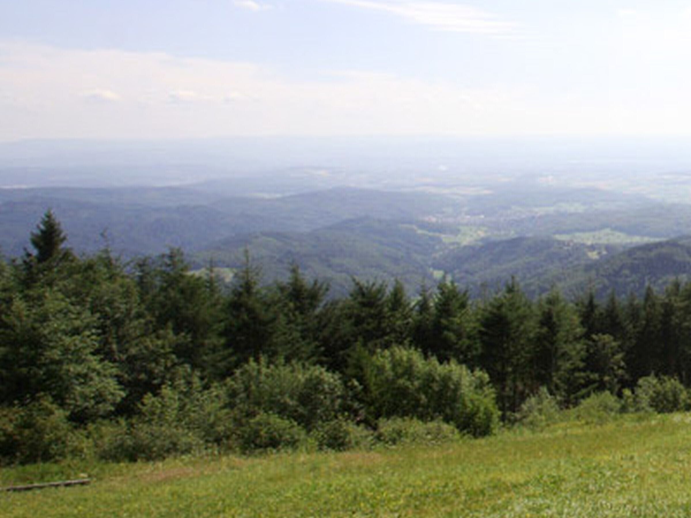 Un paysage montagneux avec une forêt dense.