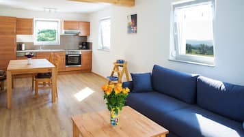 TV, tavolo da ping pong, impianto stereo