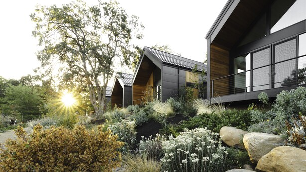 A modern building with large windows and a landscaped garden with rocks and plants.