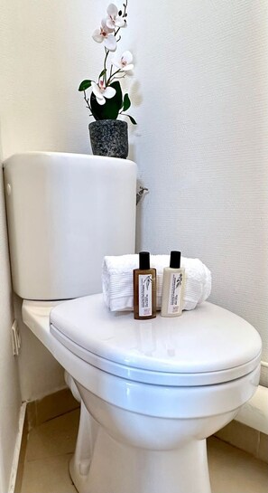 Douche, sèche-cheveux, serviettes fournies, savon