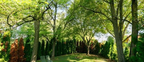 Parco della struttura