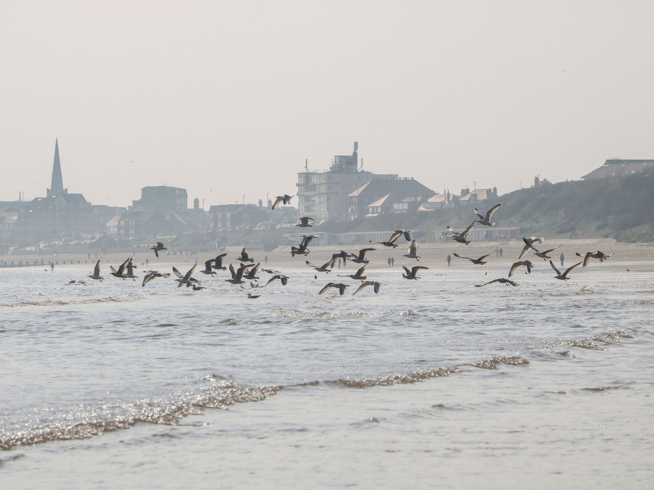 A beach with waves and a flock of birds flying over the water.