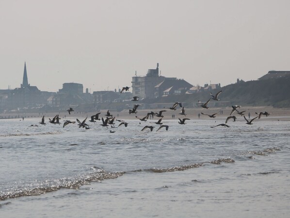 Cottage | Miscellaneous - Apt 9 @ Hunter's Quay (Bridlington)
