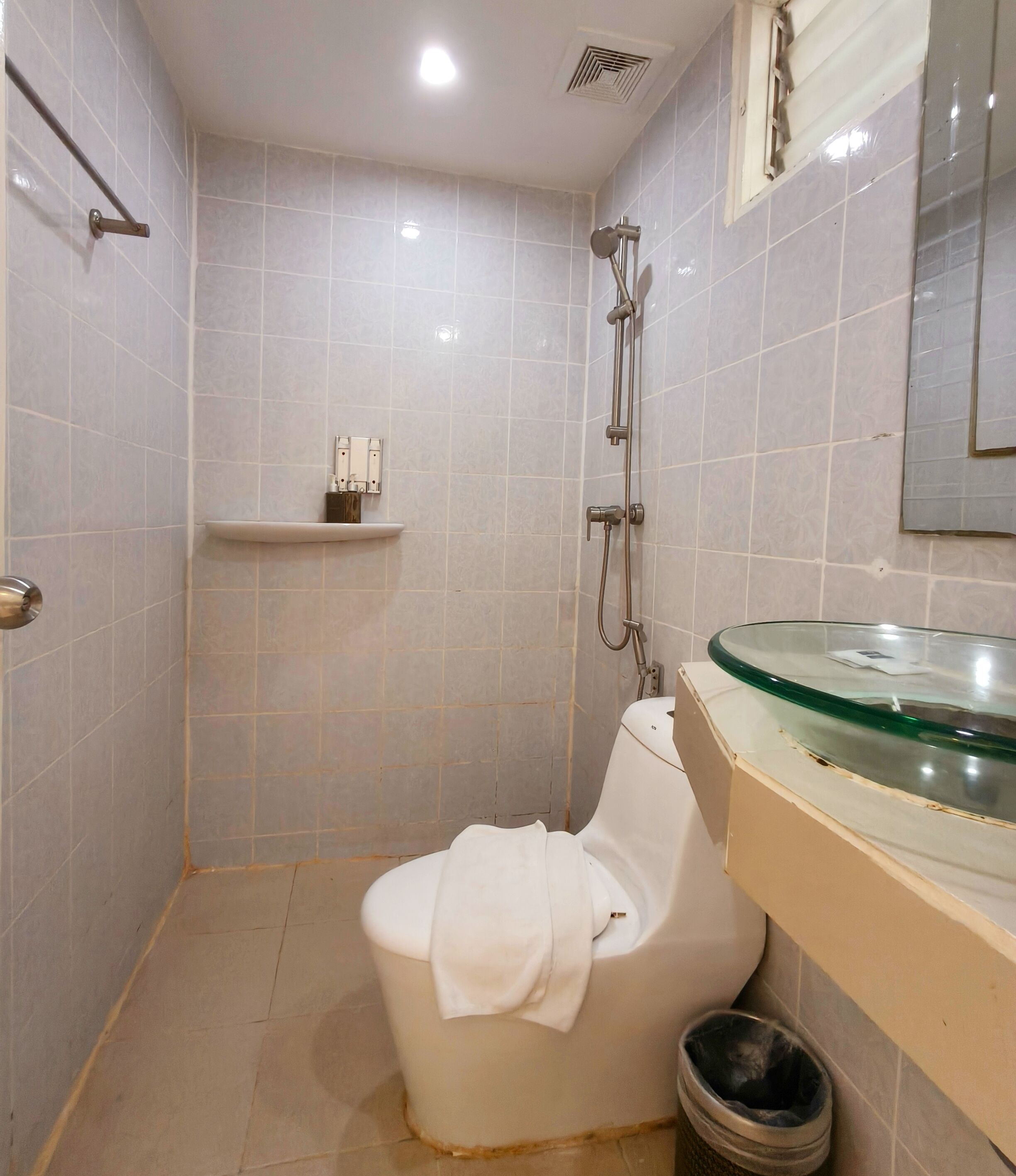 Ein Badezimmer mit Toilette, Dusche und einem Waschbecken aus Glas.