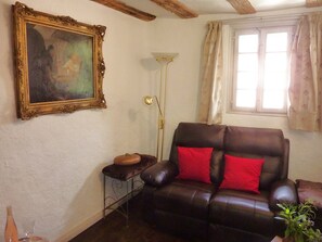 TV connectée, cheminée, lecteur de DVD, livres