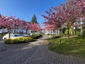 Jardines del alojamiento