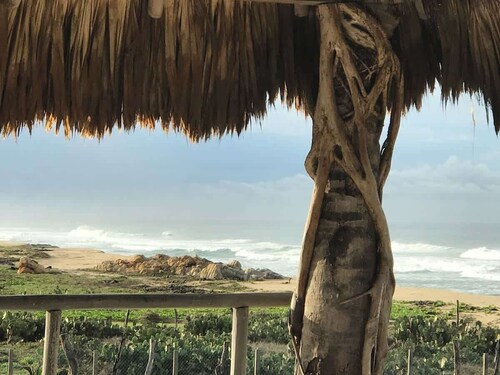 Secluded but not Isolated - Perfect Beach Vacation
