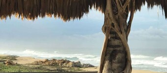 Secluded but not Isolated - Perfect Beach Vacation
