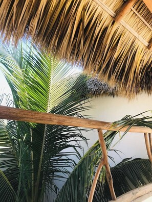 Exterior detail - Secluded but not Isolated - Perfect Beach Vacation (Puerto Escondido)