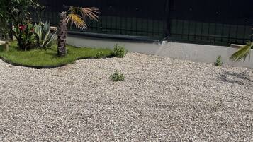 Un espace paysager aménagé en jardin, avec du gravier, de petites plantes et un palmier.
