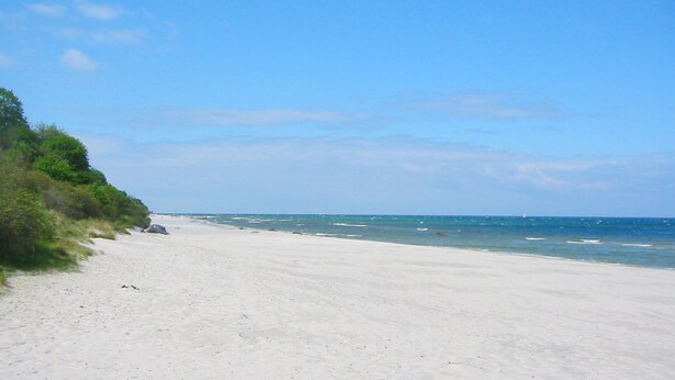 A beach with a clear sky and calm sea. - Modernes Ferienhaus mit Kamin, Garten und Eigener Sauna - Ferienhaus Meerfreude (Vaschvitz)