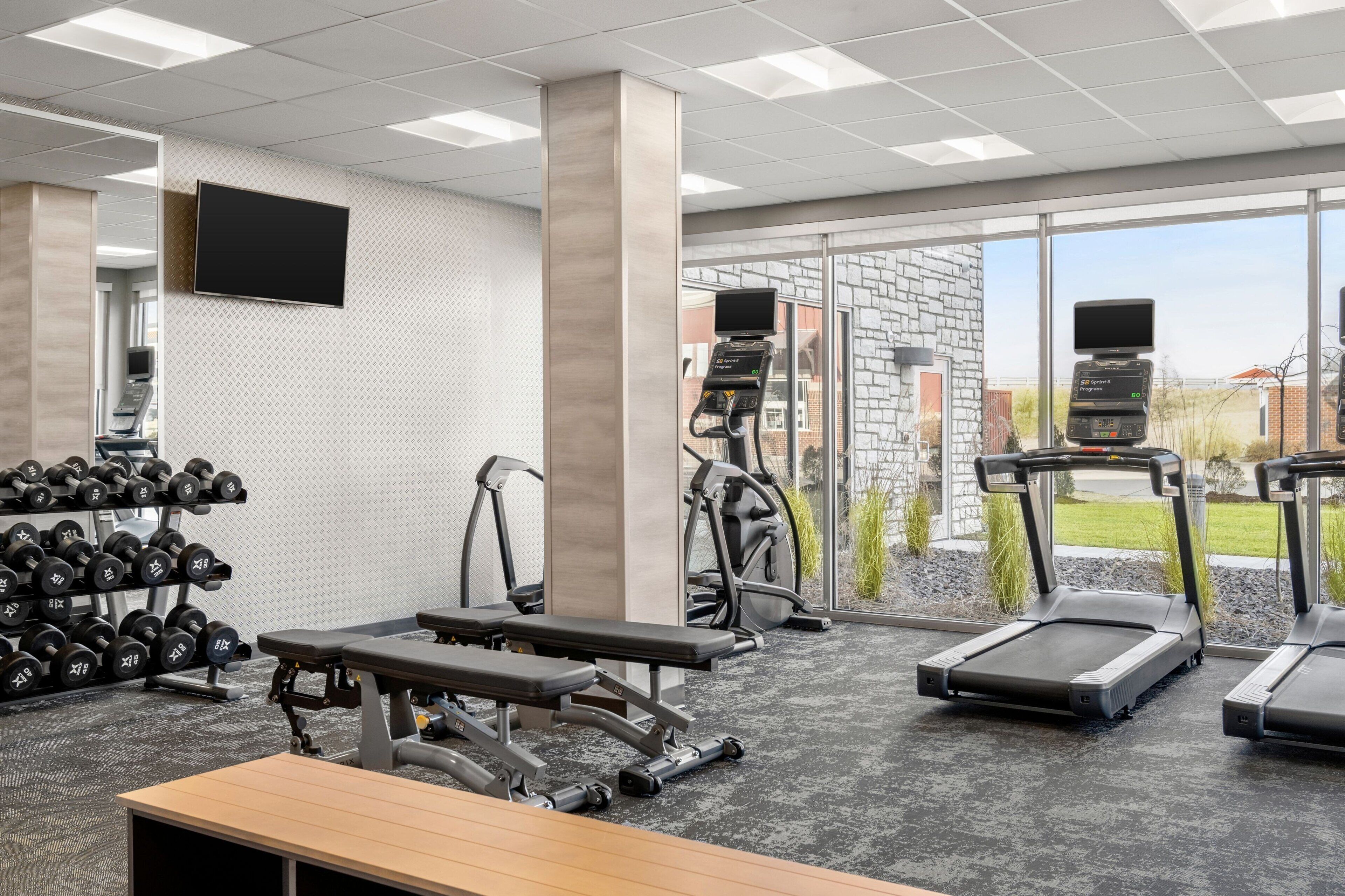 A gym with treadmills, elliptical machines, dumbbells, and benches.