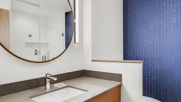 Un bagno moderno con uno specchio grande, un lavandino e un water.