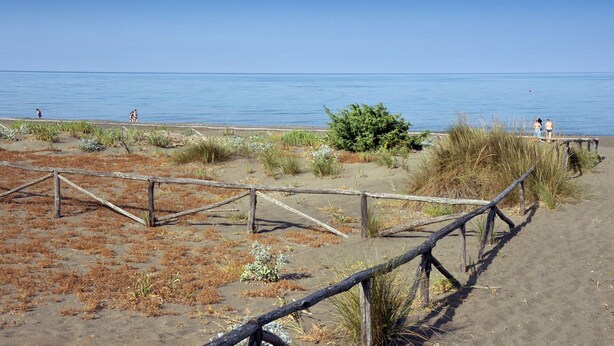Une plage de sable bordée d’une clôture en bois et où la végétation est clairsemée.