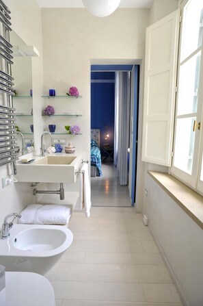 Shower, hair dryer, bidet