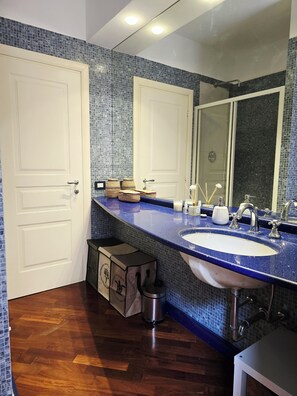 Shower, hair dryer, bidet, towels