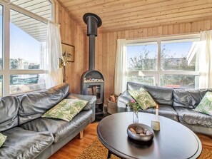 TV, fireplace, DVD player