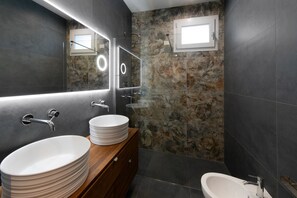 Hair dryer, bidet, towels, soap