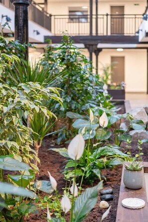 A garden with various plants and a wooden bench.