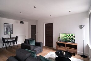 Fernseher, Arbeitsbereiche