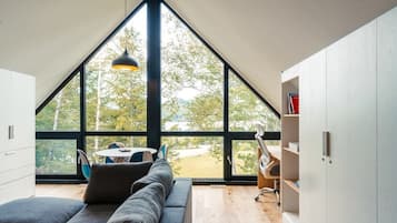 TV, fireplace, offices