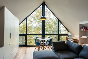 TV, fireplace, offices