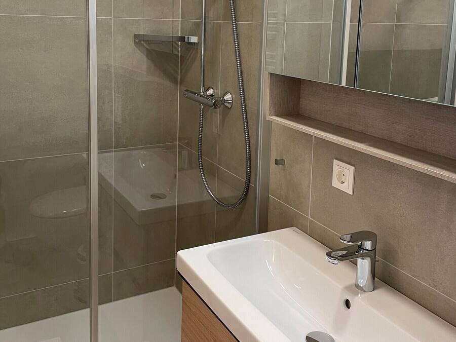 A modern bathroom with a glass-enclosed shower, a white sink, and a mirror above the sink.