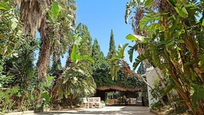 A pathway flanked by lush tropical vegetation leading to a thatched-roof structure. - Bakit House - Casa Rural con Piscina Privada (Águilas)