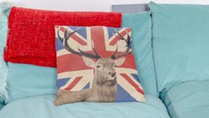 A room with a light blue sofa, a red throw blanket, and a pillow featuring a deer with a Union Jack background. - Quaint & Cosy 1 Bedroom Flat - Kensington Olympia! (London)
