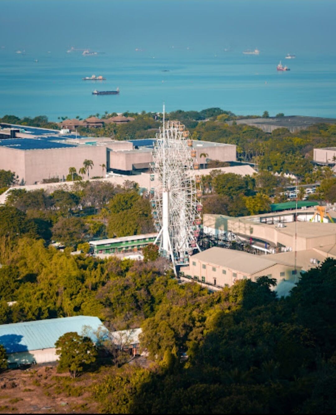 A large building with a Ferris wheel, surrounded by greenery and a body of water.