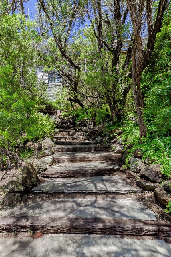 Una escalera de piedra rodeada de abundante vegetación y árboles.