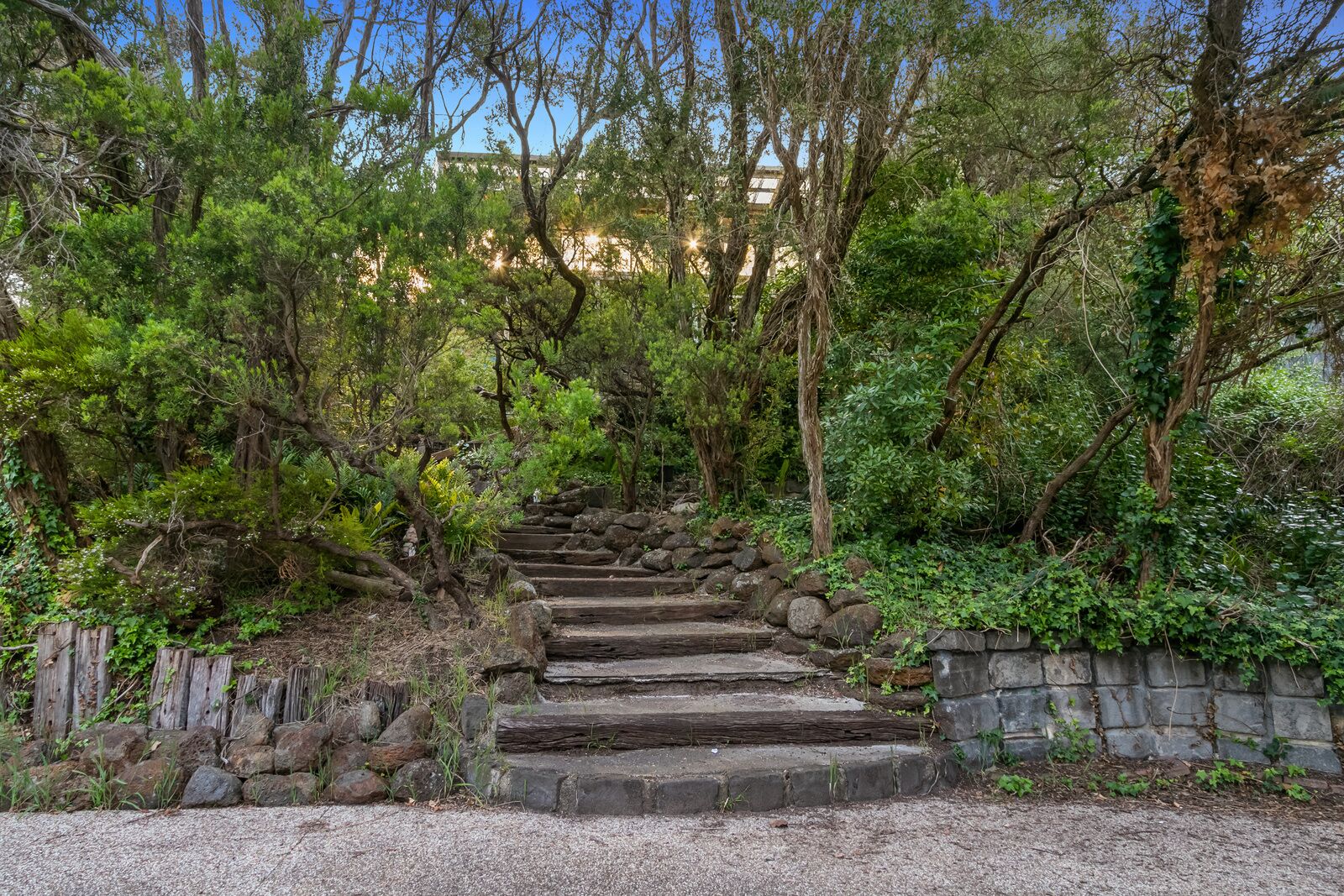 A stone staircase surrounded by dense greenery, leading up a slope.