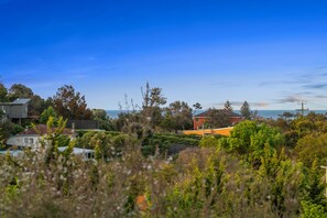 A residential area with houses, dense vegetation, and a clear blue sky.