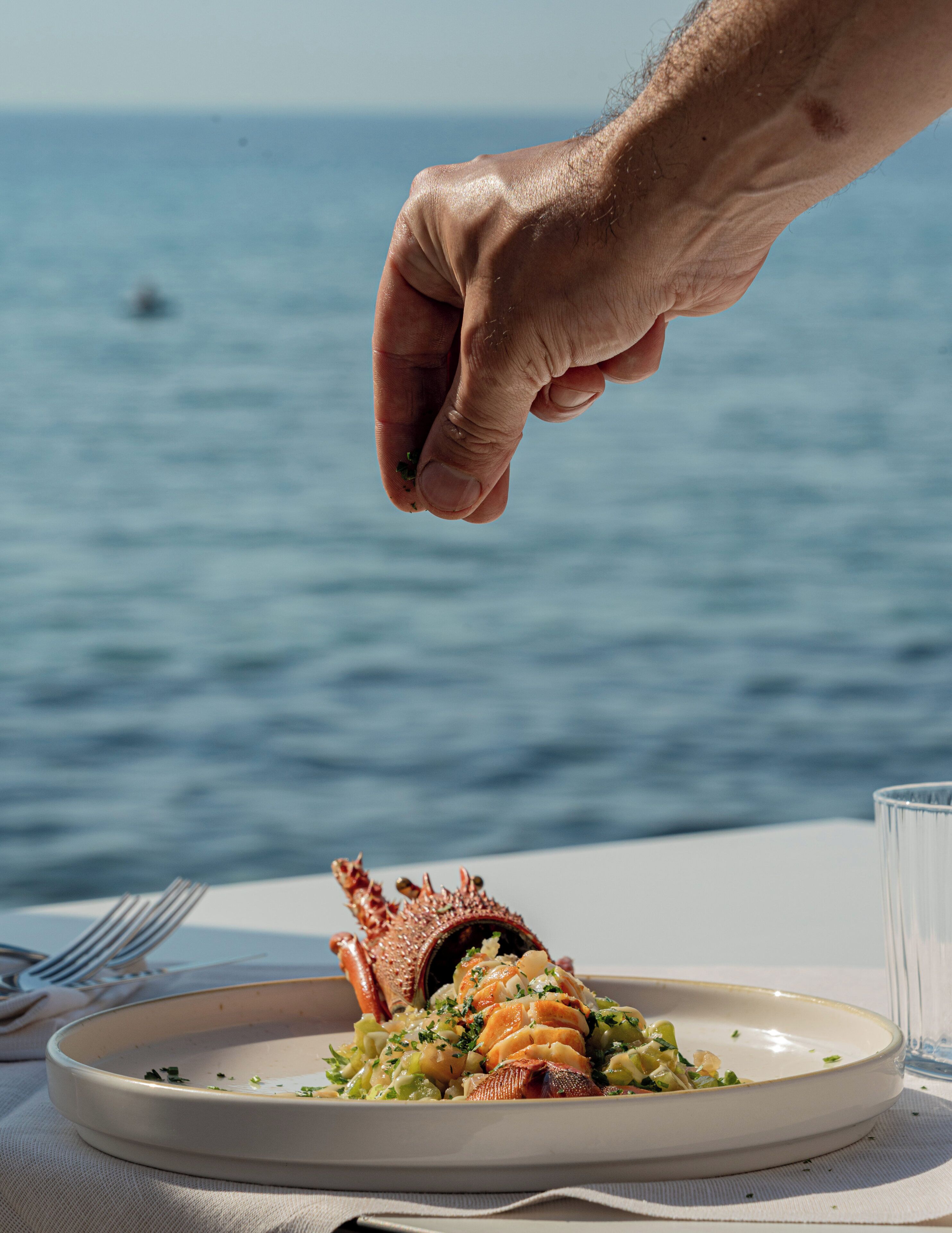 Een bord eten met een kreeftstaart, geplaatst op een tafel met uitzicht op zee.