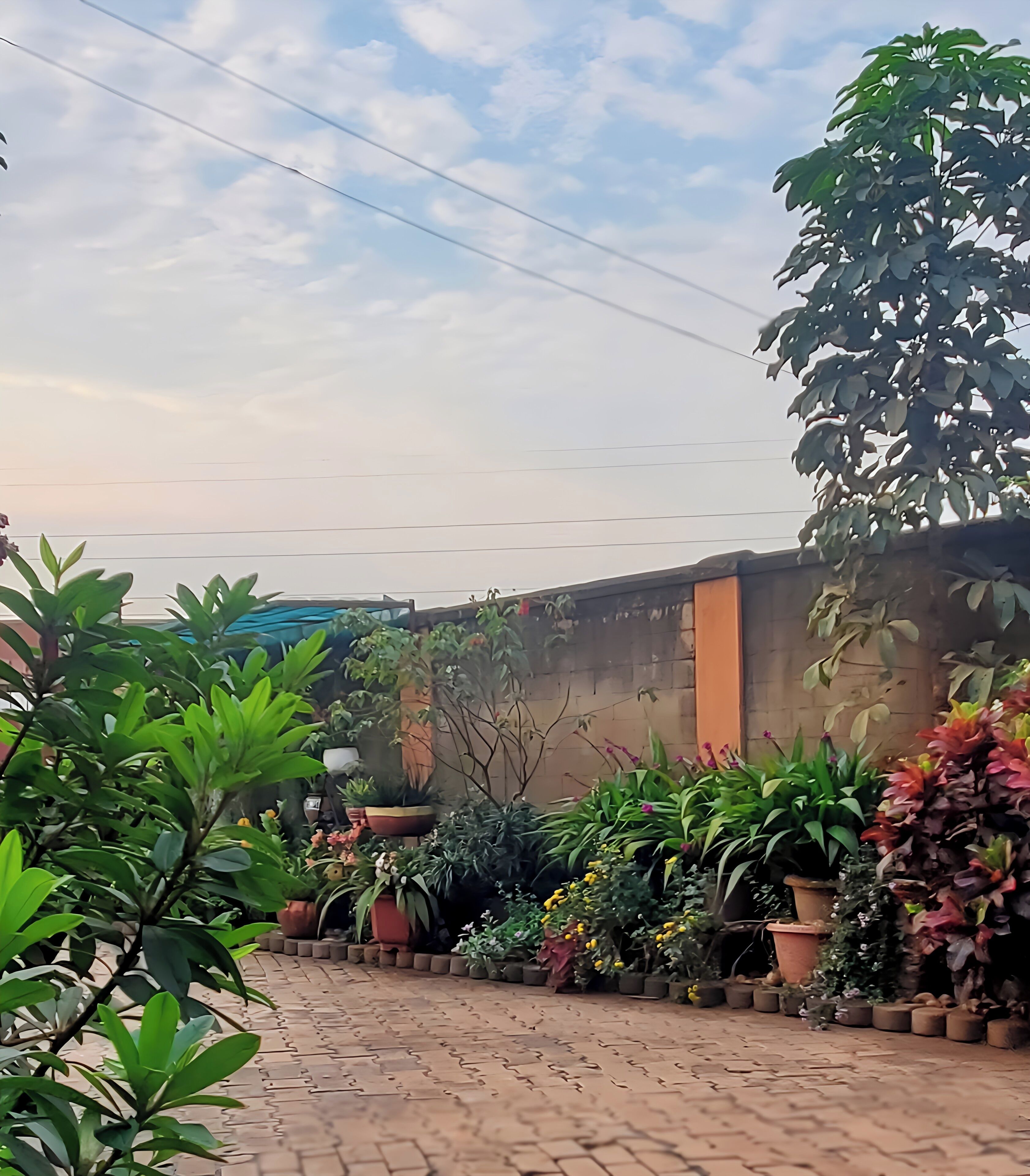 A paved courtyard with potted plants and a brick wall.