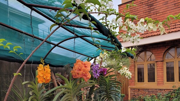 A garden with various plants and flowers, a greenhouse structure, and a building with arched windows. - Orchid Gardens; Studio Apartment, minimalist (Kampala)