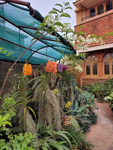 Orchid Gardens; Studio Apartment, minimalist