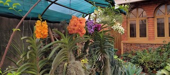 Orchid Gardens; Studio Apartment, minimalist