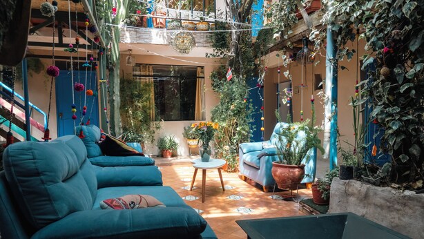 Un espacio interior acogedor con un sofá azul, una mesita redonda y plantas en macetas.