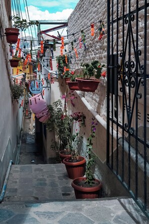 Un callejón estrecho con macetas y adornos colgantes.